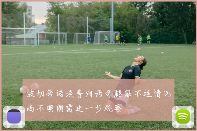 波切蒂诺谈普利西奇腿筋不适情况尚不明朗需进一步观察