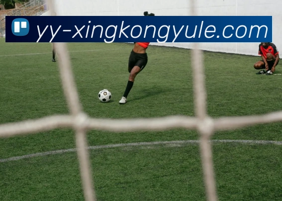 数据防护可视化